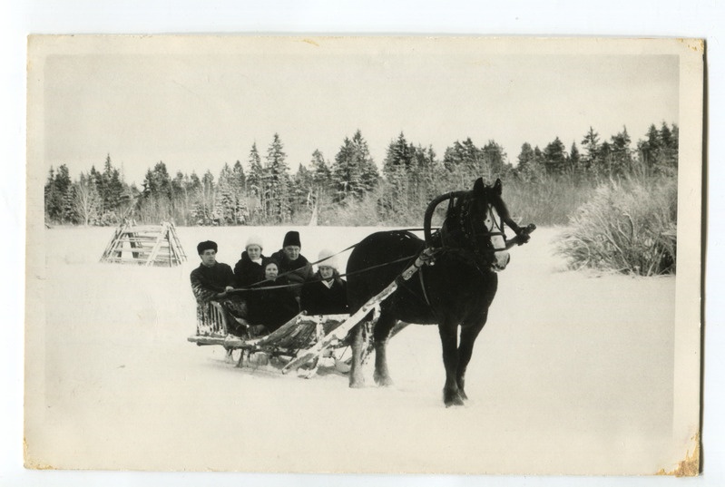 Arst Hans Salep saanisõidul