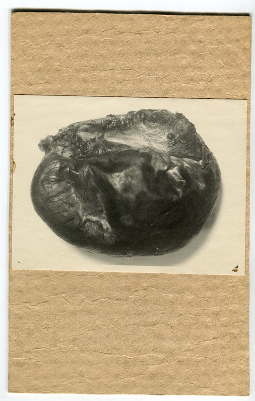 Munasari