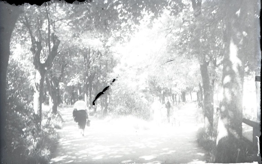 Puiestee Kuressaare Lossipargis