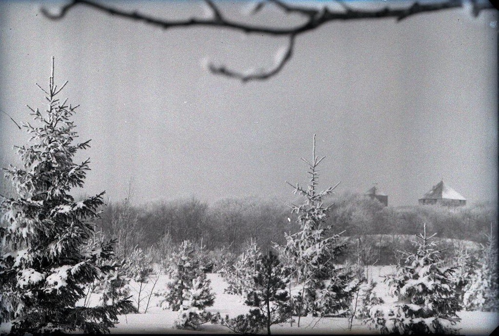 Kuressaare lähiümbrus