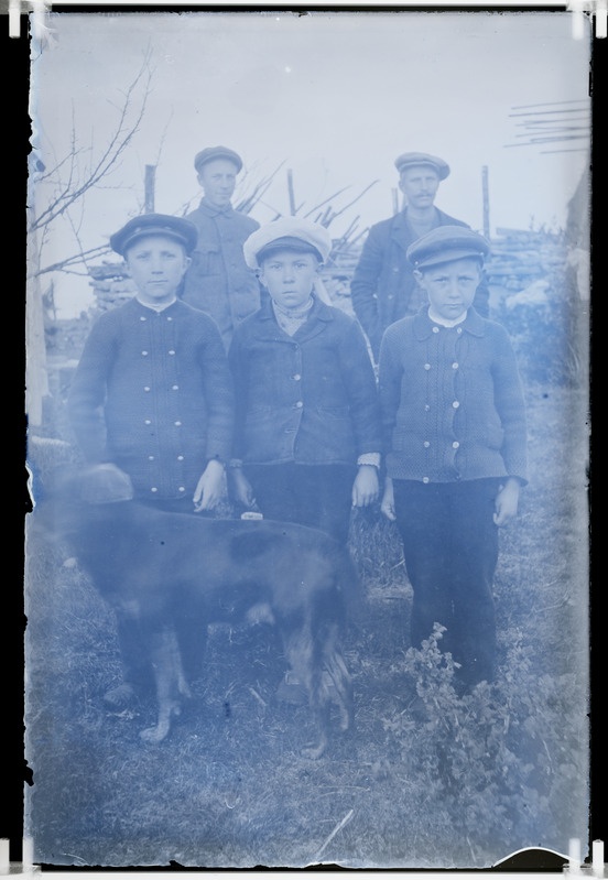 Muhu noormehed koeraga