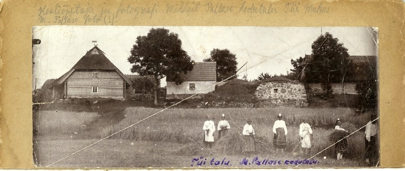 Kooliõpetaja ja fotograafi Mihhail Pallase kodutalu Tüi Muhus