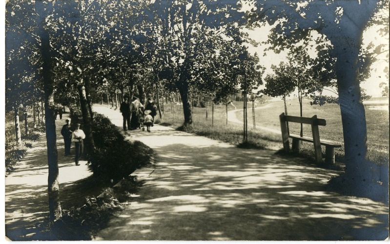 Kuressaare park: vaade piki mereäärset alleed