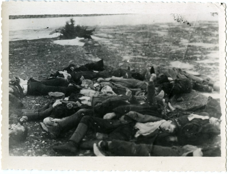Saaremaa 1919. aasta mäss: vaade maas lebavatele laipadele Upal