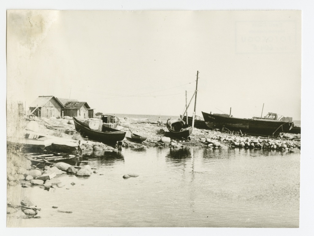 Cabbages and network coaches at Prangli harbor
