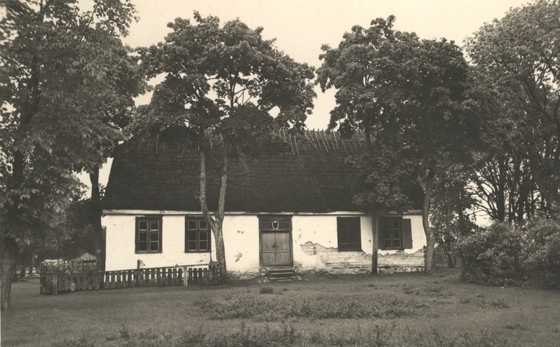 Kaavi algkool