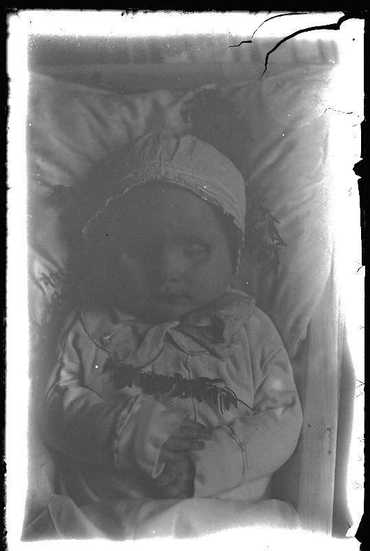 Klaasnegatiiv. Aldoheldur Tarendi matus. Sünd/surm 1946 a.