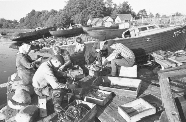 S. Kirov-named exemplary fish colossal. Department on the island of Prangli.