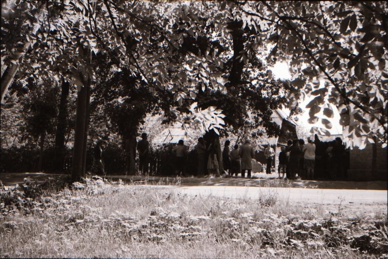 Negatiiv. W.K.F. Peterseni (1854-1933) mälestuskivi avamine. 12.06.1979.