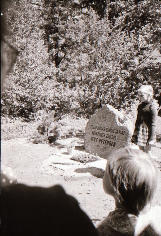 Negatiiv. W.K.F. Peterseni (1854-1933) mälestuskivi avamine. 12.06.1979.