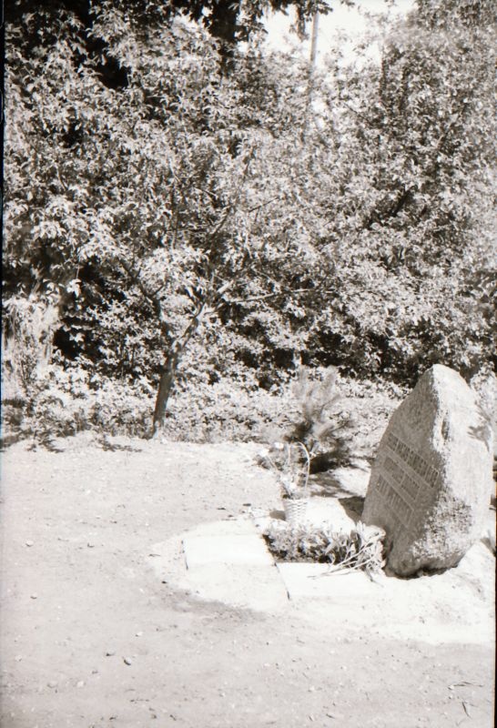 Negatiiv. W.K.F. Peterseni (1854-1933) mälestuskivi avamine. 12.06.1979.