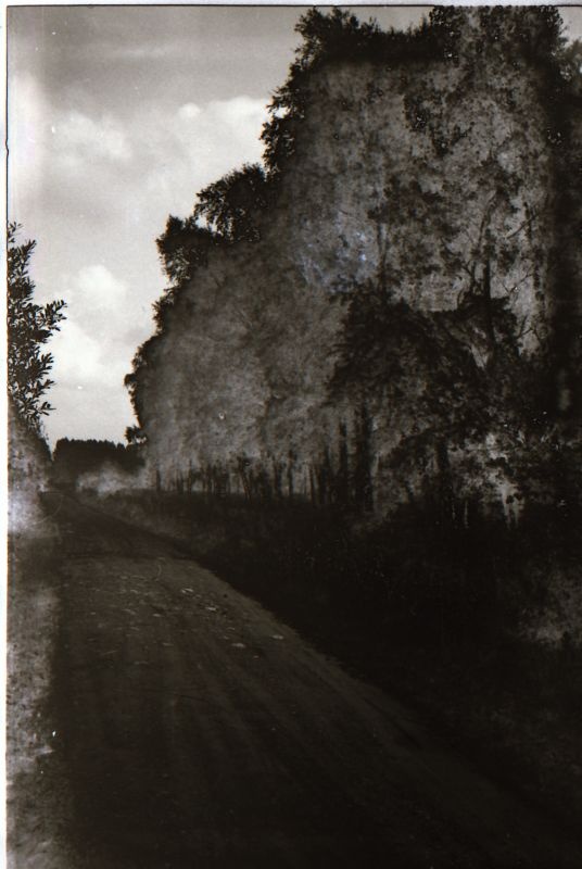 Negatiiv. Kõmsi kivikirstkalmed. Arheoloogia. Pärnamäe. 1978-1982.
Mets tee ääres.