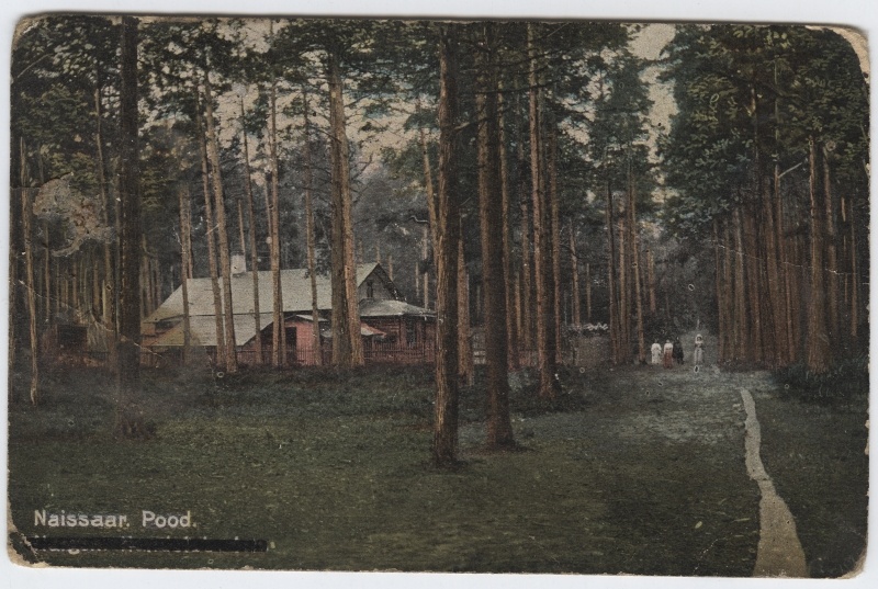 Naissaare store buildings. View of the pine, on the right foot.