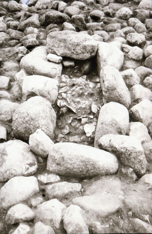 Negatiiv. Kaseküla kivikirstkalme keskosa kirstuga ida poolt. 1973.a. 
Foto: M. Mandel.