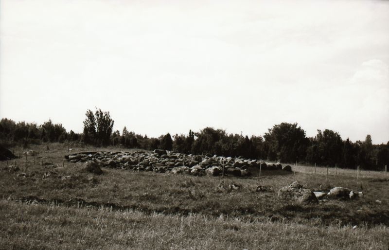 Negatiiv. Avatud kivikirstkalme Kasekülas kirde poolt. 1973.a. 
Foto: M. Mandel.