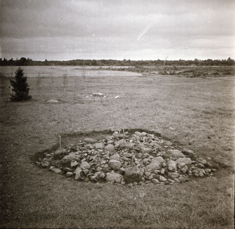 Negatiiv. Uugla II kivikalme  kaevamised 1981.a. Väljapuhastatud kivistik lääne poolt. 
Foto: M. Mandel.