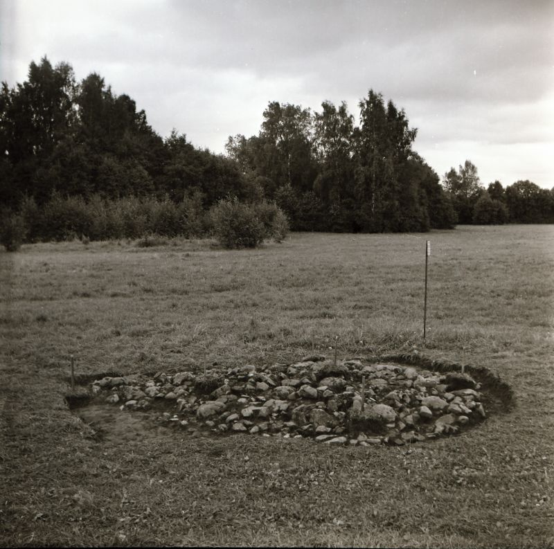 Negatiiv. Uugla II kivikalme  kaevamised 1981.a. Väljapuhastatud kivistik põhja-kirde poolt. 
Foto: M. Mandel.