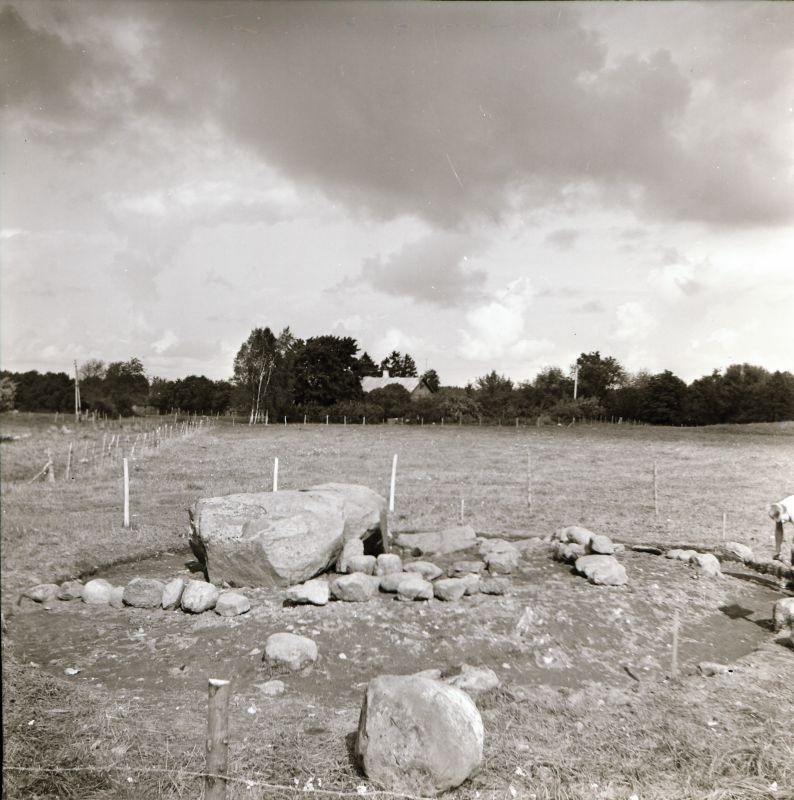Negatiiv. Taebla tarandkalme kaevamine 1981.a. Peale kaevamisi alles jäetud konstruktsioonid.
Foto: M. Mandel.