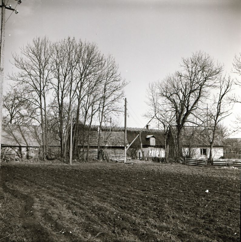 Negatiiv.  Haapsalu rajooni Kedre asula lõunast. 08.05.1980.a.
Foto: M. Mandel.