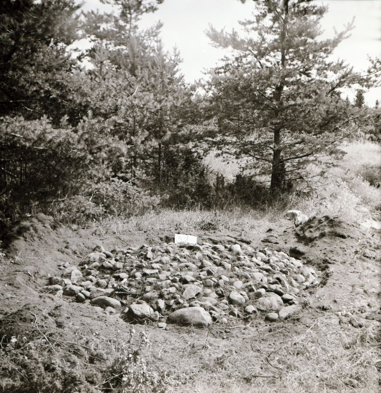 Negatiiv. Kõmsi muistsete põllukivihunnikute kaevamine 1981.a. Väljapuhastatud põllukivihunnik nr 379. 
Foto: M. Mandel.