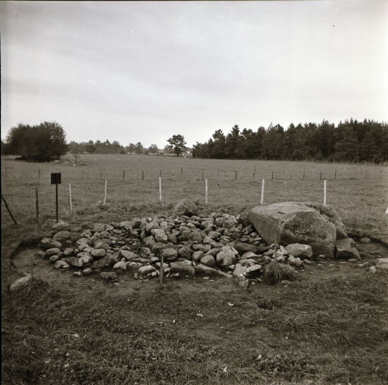 Negatiiv. Taebla tarandkalme kaevamine 1981.a. II kivikiht põhja poolt.
Foto: M. Mandel.