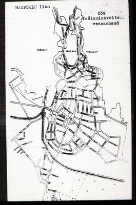 Negatiiv. Haapsalu. Fašismiohvrite vennashaud. 
Ü.p. 1976.  duplicate photo