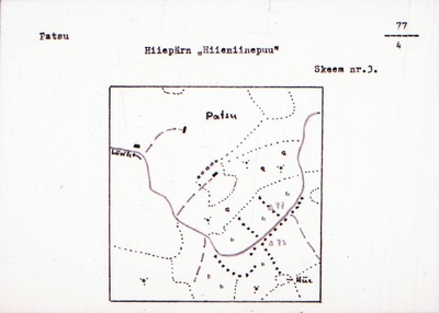 Negatiiv. Patsu. Hiiepärn "Hiieniinepuu".
Ü.p. 1976.  duplicate photo