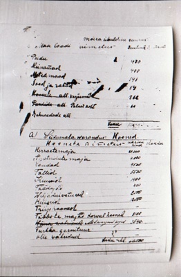Negatiiv. 1917. a sündmusi Haapsalus ja selle ümbruses kajastav materjal. Ümberpildistus trükisest. Ümberpildistas Mihail Naumov, 1987.  duplicate photo