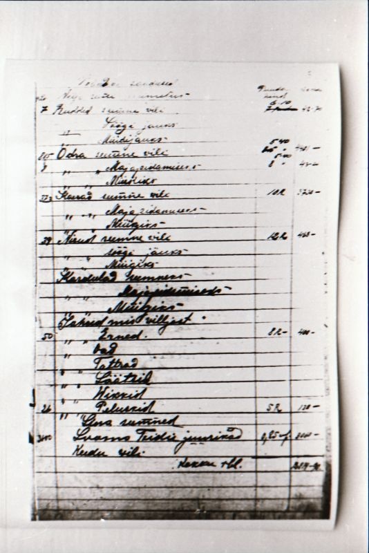 Negatiiv. 1917. a sündmusi Haapsalus ja selle ümbruses kajastav materjal. Ümberpildistus trükisest. Ümberpildistas Mihail Naumov, 1987.