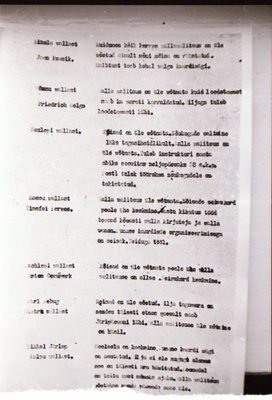 Negatiiv. 1917. a sündmusi Haapsalus ja selle ümbruses kajastav materjal. Ümberpildistus trükisest. Ümberpildistas Mihail Naumov, 1987.  duplicate photo