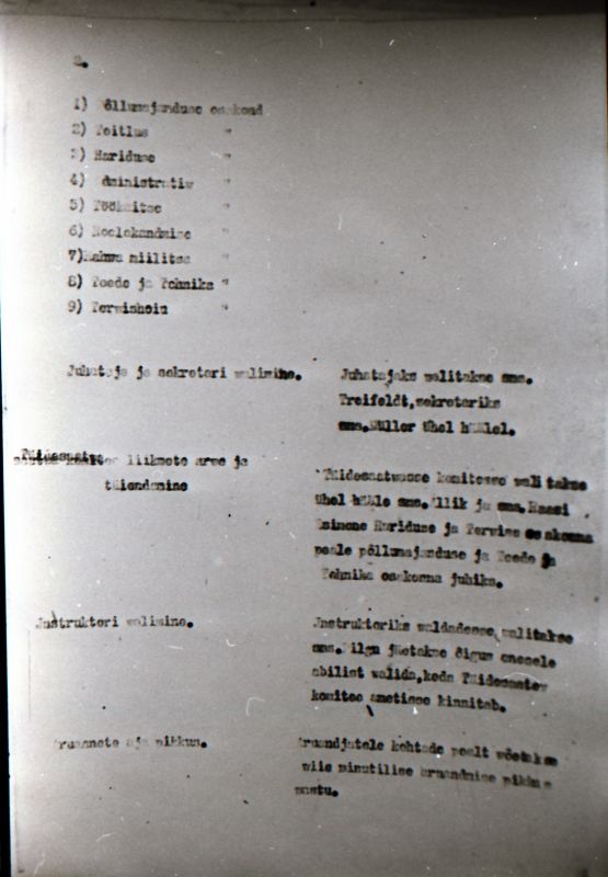 Negatiiv. 1917. a sündmusi Haapsalus ja selle ümbruses kajastav materjal. Ümberpildistus trükisest. Ümberpildistas Mihail Naumov, 1987.