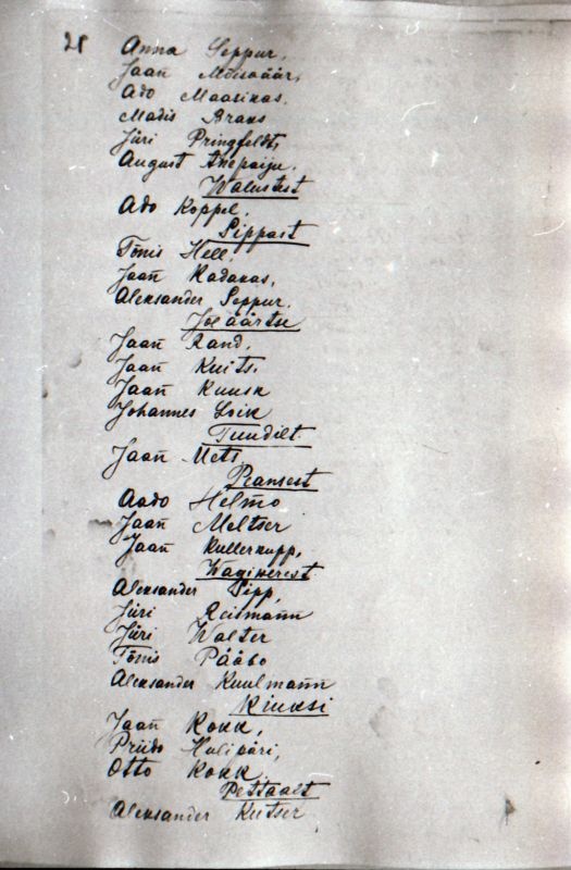 Negatiiv. 1917. a sündmusi Haapsalus ja selle ümbruses kajastav materjal. Ümberpildistus trükisest. Ümberpildistas Mihail Naumov, 1987.