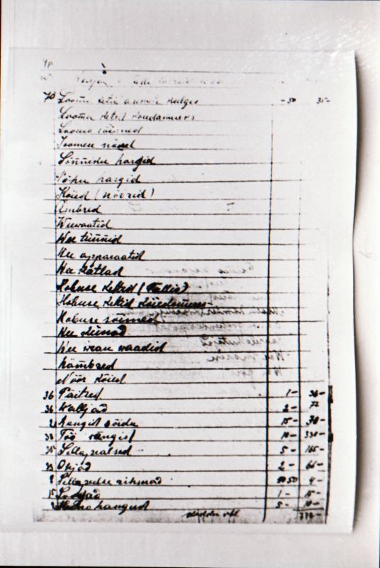 Negatiiv. 1917. a sündmusi Haapsalus ja selle ümbruses kajastav materjal. Ümberpildistus trükisest. Ümberpildistas Mihail Naumov, 1987.