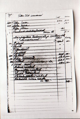 Negatiiv. 1917. a sündmusi Haapsalus ja selle ümbruses kajastav materjal. Ümberpildistus trükisest. Ümberpildistas Mihail Naumov, 1987.  duplicate photo