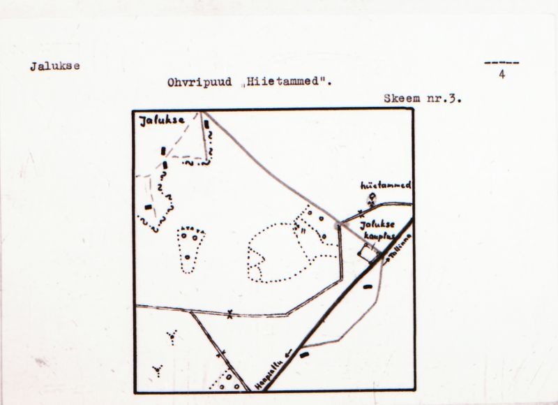 Negatiiv. Jalukse. Ohvripuud. "Hiietammed".
Ü.p. 1976.