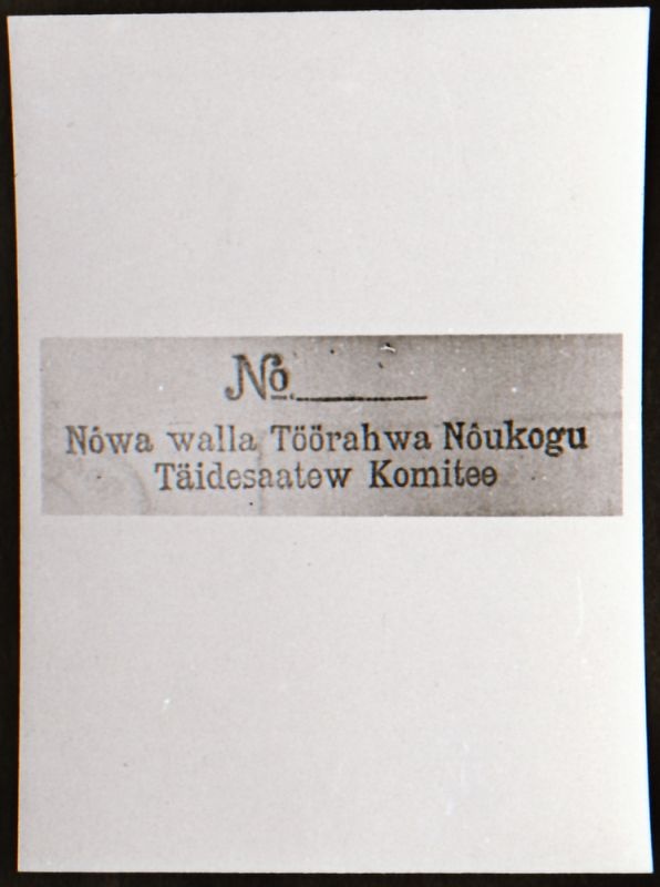 Negatiiv. 1917. a sündmusi Haapsalus ja selle ümbruses kajastav materjal. Ümberpildistus trükisest. Ümberpildistas Mihail Naumov, 1987.