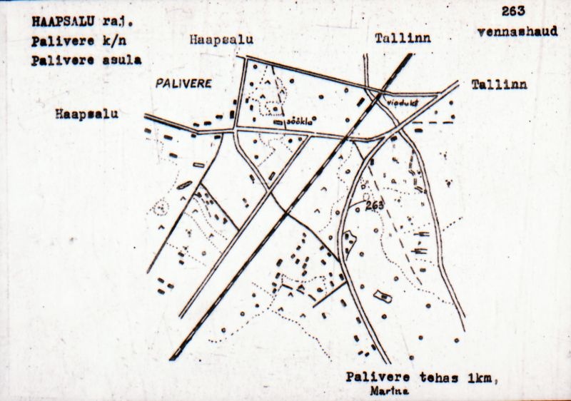 Negatiiv. Palivere vennashaud.
Ü.p. 1976.