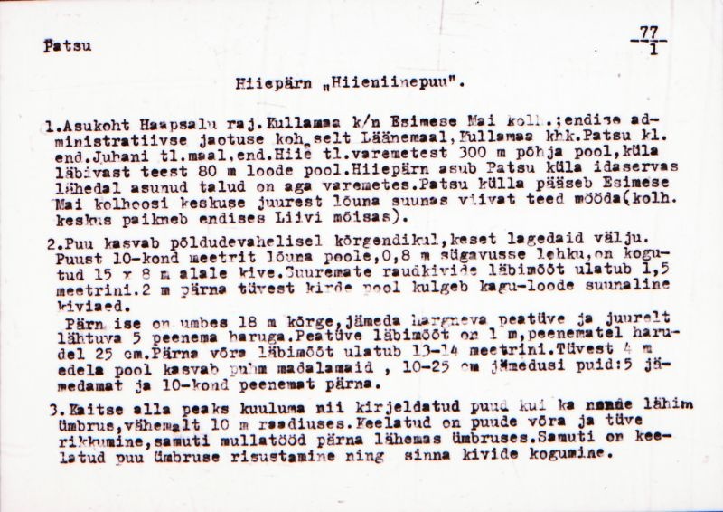 Negatiiv. Patsu. Hiiepärn "Hiieniinepuu".
Ü.p. 1976.