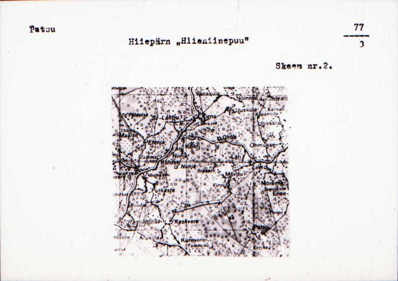 Negatiiv. Patsu. Hiiepärn "Hiieniinepuu".
Ü.p. 1976.