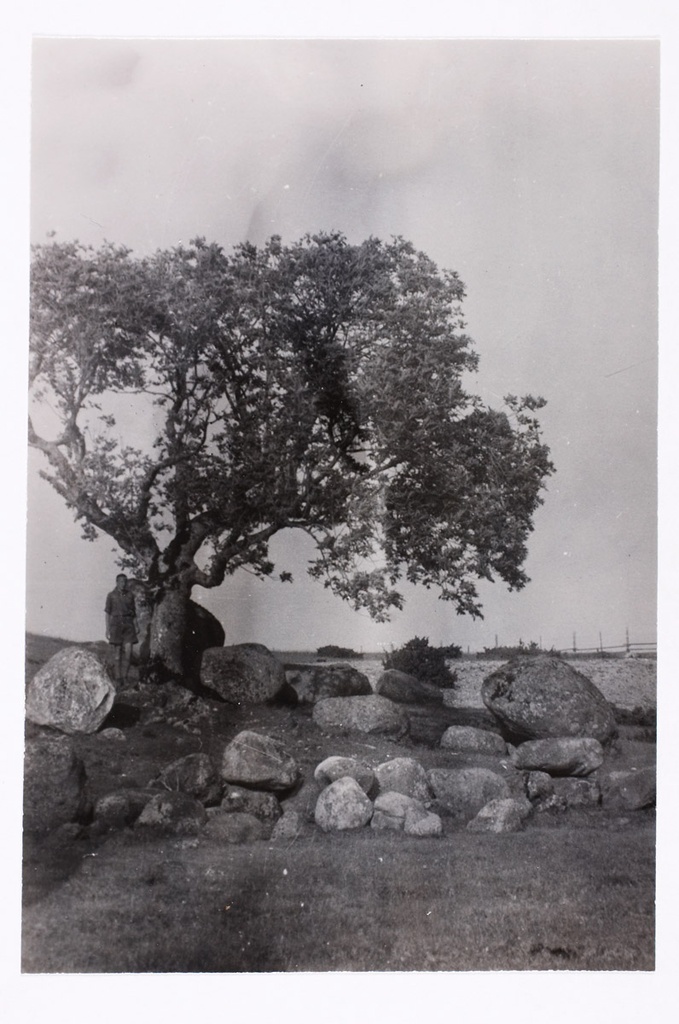 "eeva" - an indigenous island in the south-east of Osmussaare. "sten-krusaskiana".