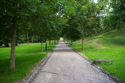 Digifoto. Toomemägi: nn Professorite allee (ülikooli peahoone tagune Toome allee).  Tartu, juuli 2013.