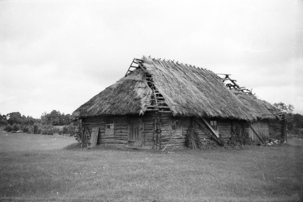 Veski village Liivaaugu farm rehemaja