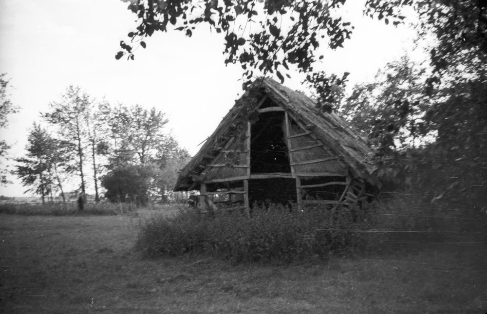 Source village Paisu farm garden