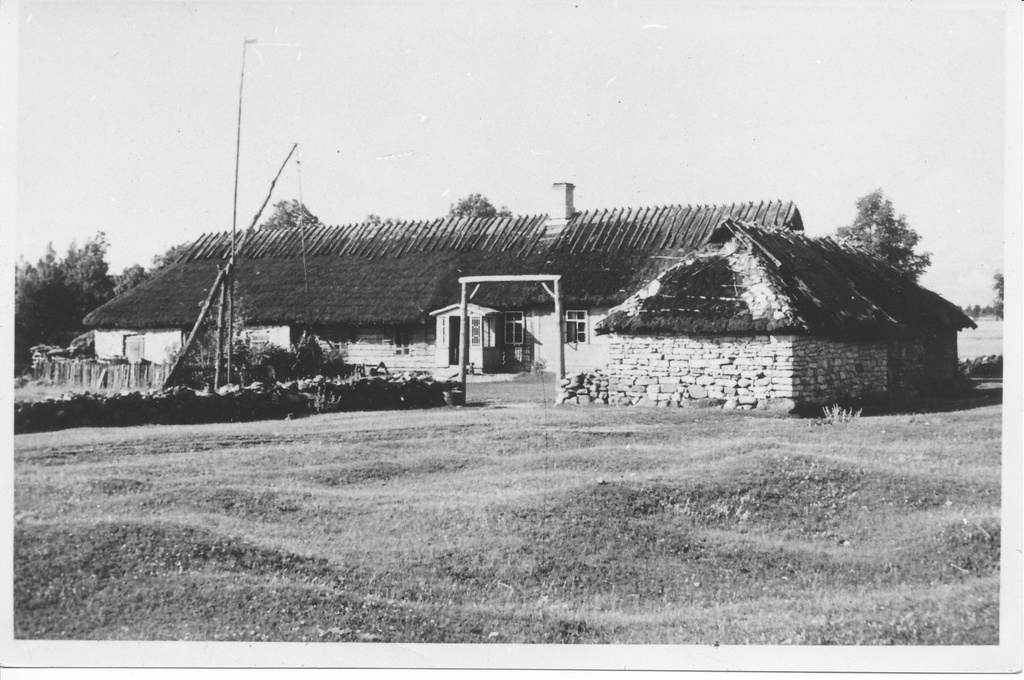 Farm in Noaroots