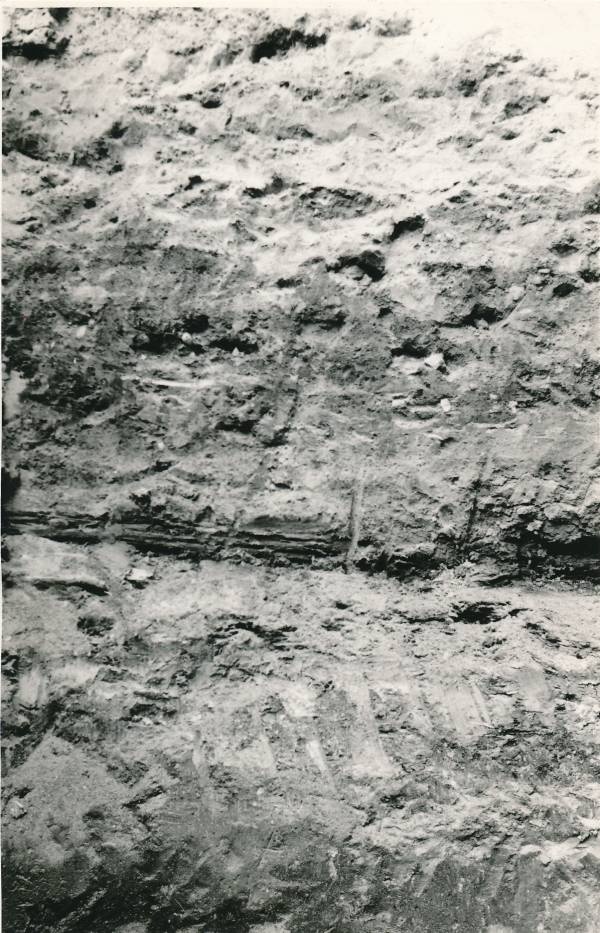 Arheoloogialeid. Kaevamised Munga (H.Abovjani) tn 8. Tartu, 1970.a.