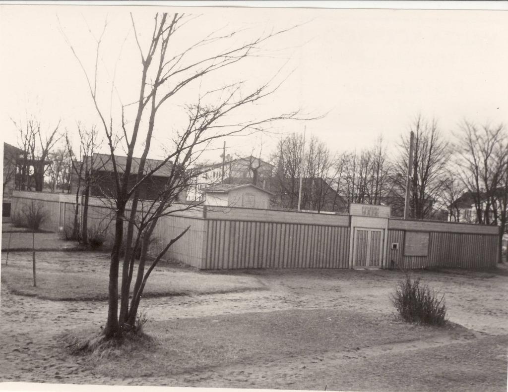 Suvekino Säde pargis