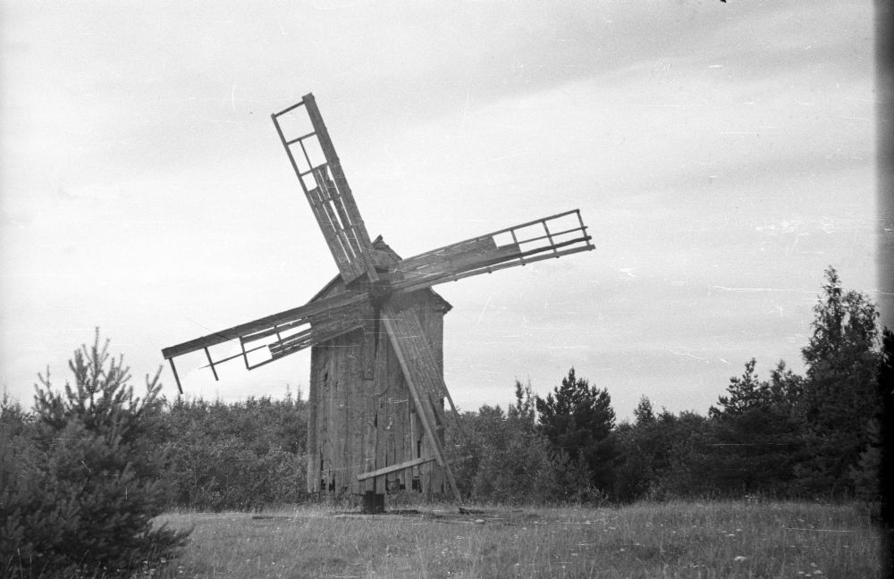 Pukkituule