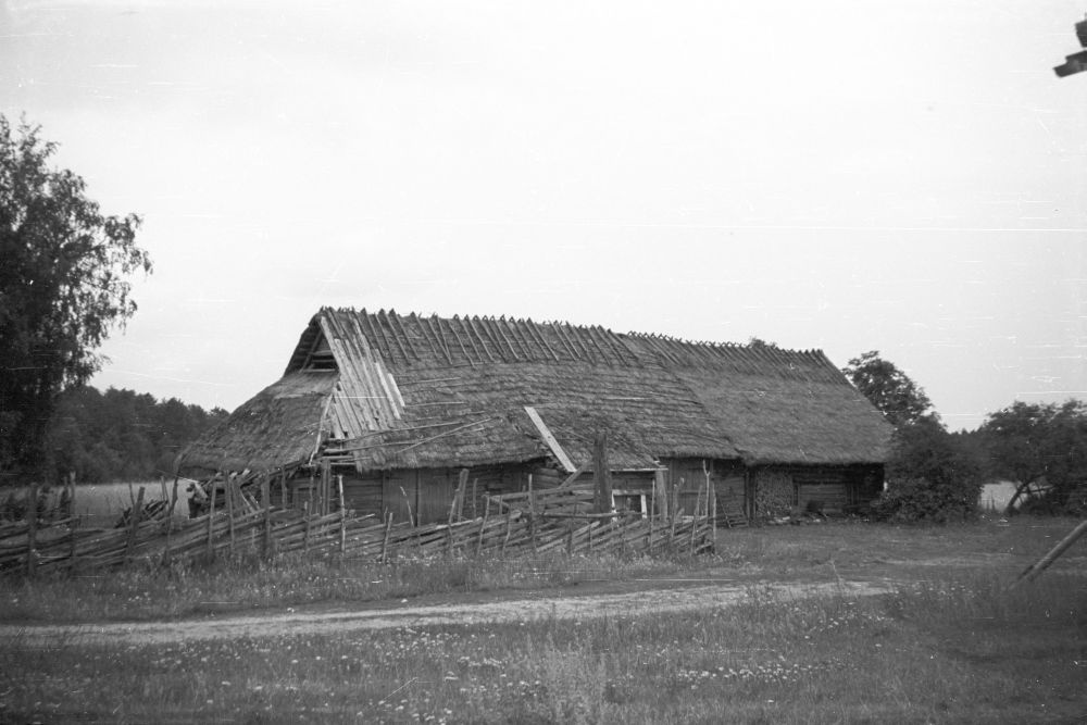 Viiterna village of Tõnise Farm Rehemaja