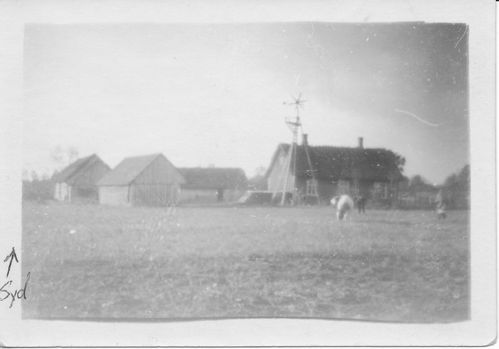 Mickas farm in Riguldis Söderbys