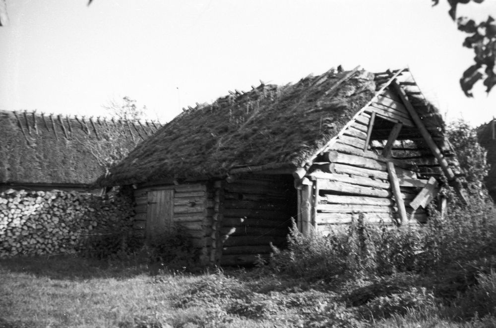 Eisterby village Ambros-Ulas farm garden